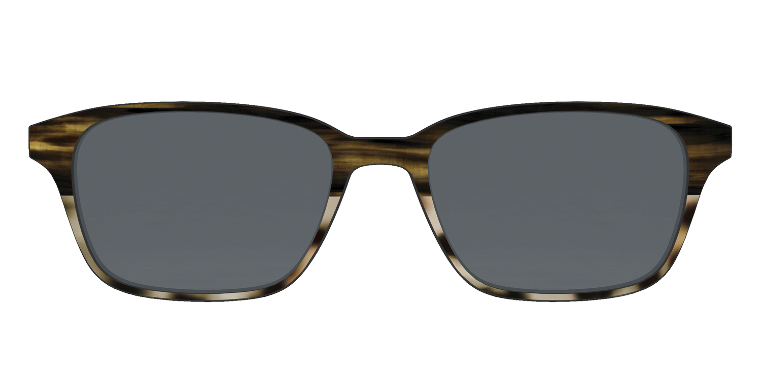 The Polarized Horn Tortoise Sun Top - Front Top Image - Pair Eyewear