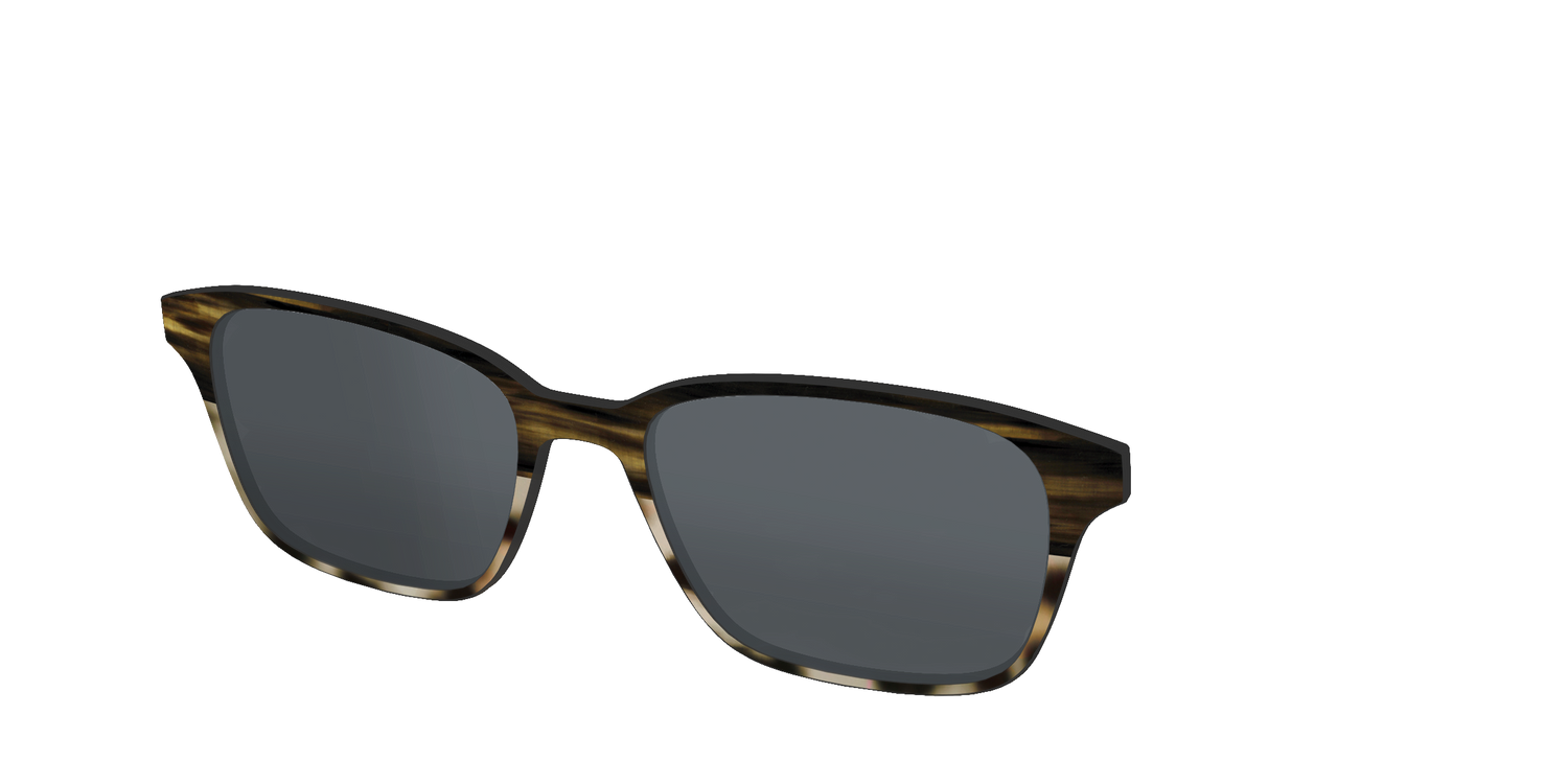 The Polarized Horn Tortoise Sun Top - Angle Top Image - Pair Eyewear