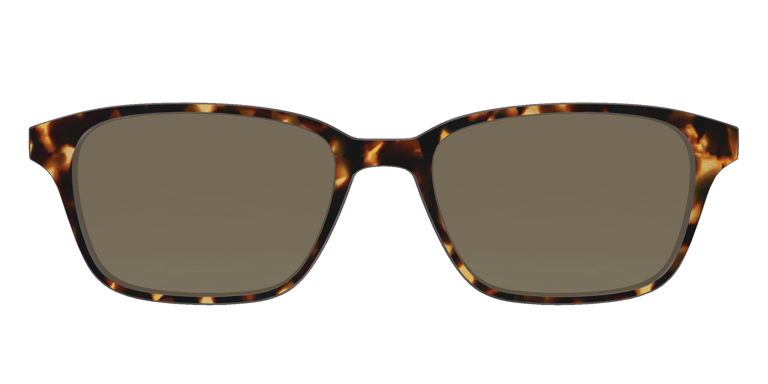 The Non-Polarized Tortoise Sun Top - Front Top Image - Pair Eyewear