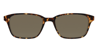 The Non-Polarized Tortoise Sun Top - Front Top Thumbnail - Pair Eyewear