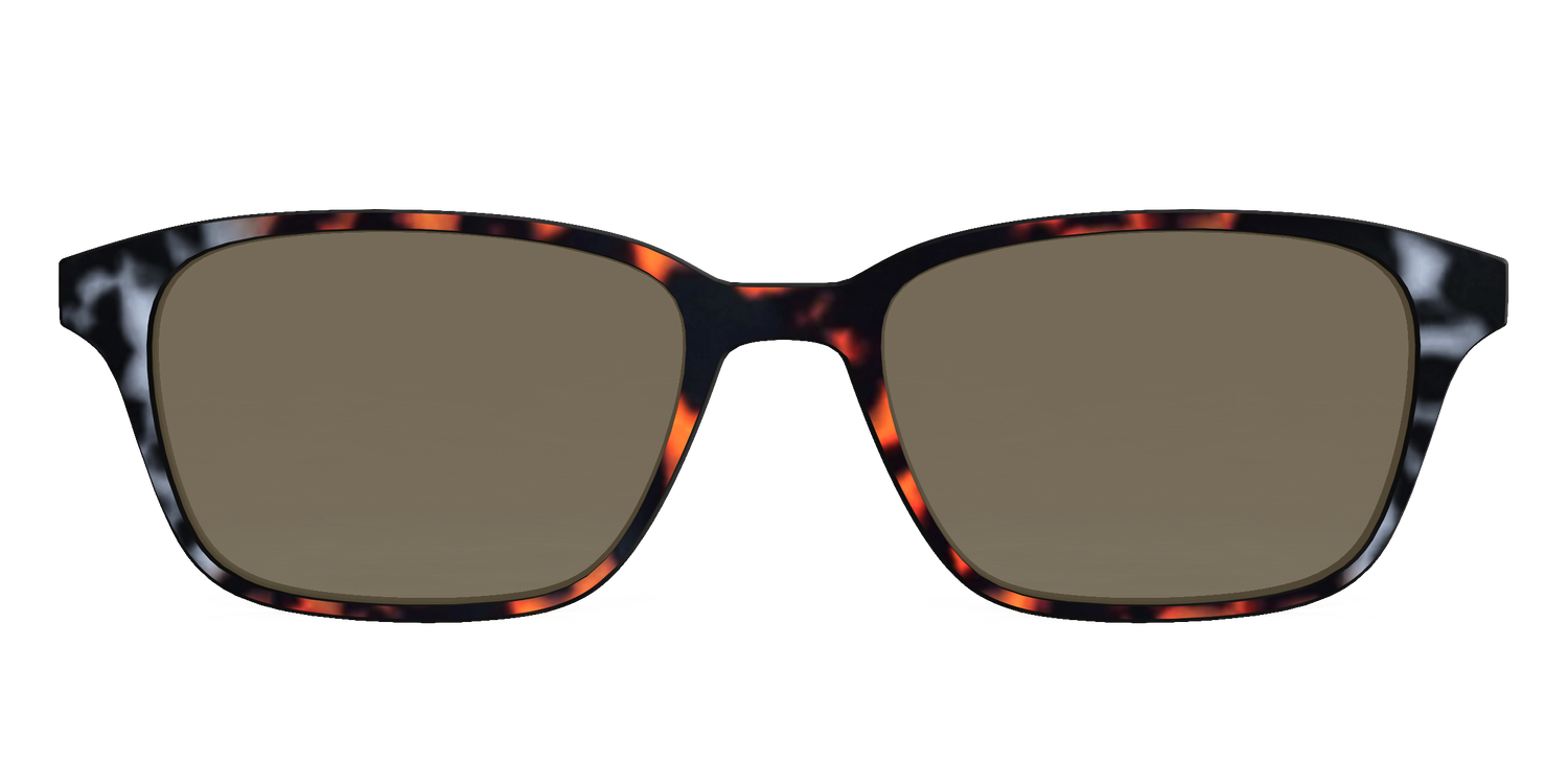 The Polarized Gray & Amber Tortoise Sun Top - Front Top Image - Pair Eyewear