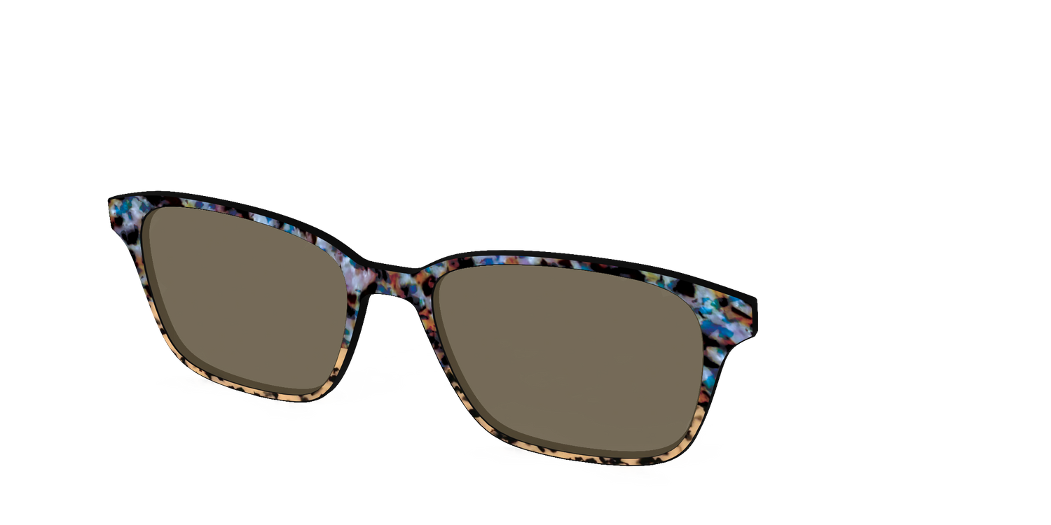 The Polarized Oasis Tortoise Split Sun Top - Angle Top Image - Pair Eyewear