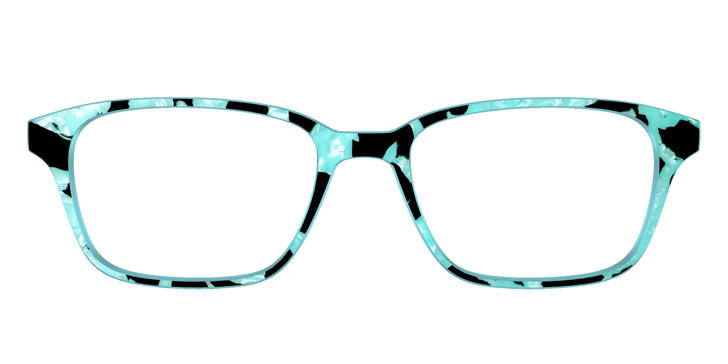 The Robin's Egg Pearl Tortoise - Front Top Image - Pair Eyewear