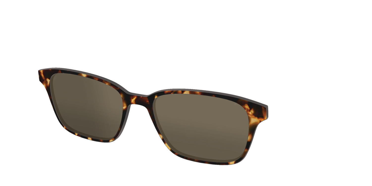 The Polarized Tortoise Sun Top - Angle Top Image - Pair Eyewear