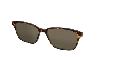 The Polarized Tortoise Sun Top - Angle Top Thumbnail - Pair Eyewear