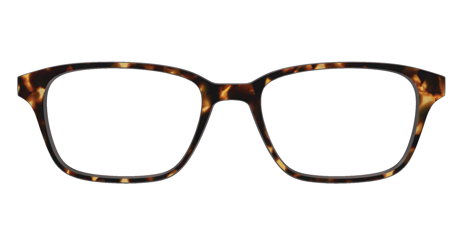 The Tortoise - Front Top Image - Pair Eyewear