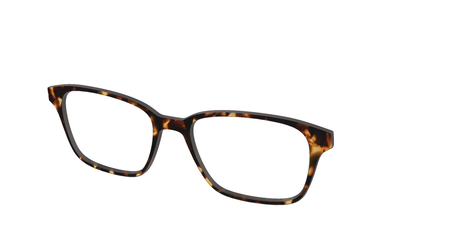 The Tortoise - Angle Top Image - Pair Eyewear