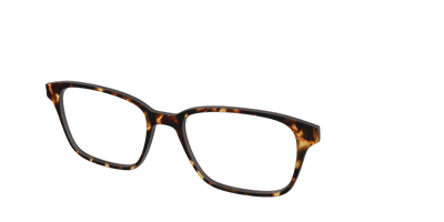 The Tortoise - Angle Top Thumbnail - Pair Eyewear