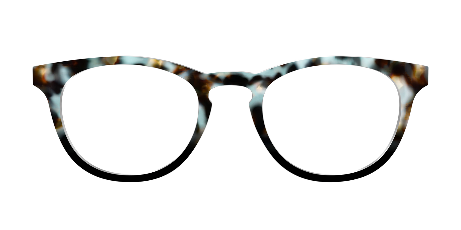 The Academic Tortoise - Front Top Image - Pair Eyewear