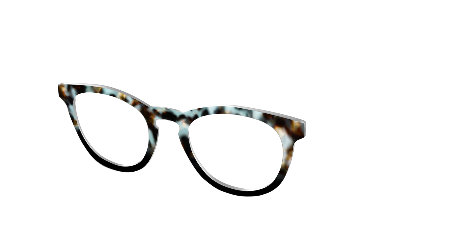 The Academic Tortoise - Angle Top Image - Pair Eyewear
