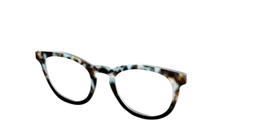 The Academic Tortoise - Angle Top Thumbnail - Pair Eyewear