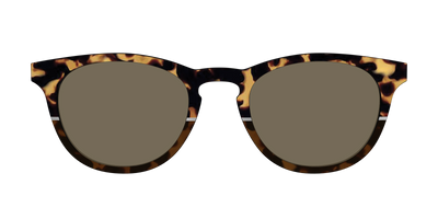 The Polarized Chic Tortoise Split Sun Top - Front Top Thumbnail - Pair Eyewear