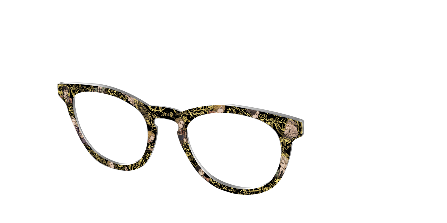 The Harry Potter Toile - Angle Top Image - Pair Eyewear