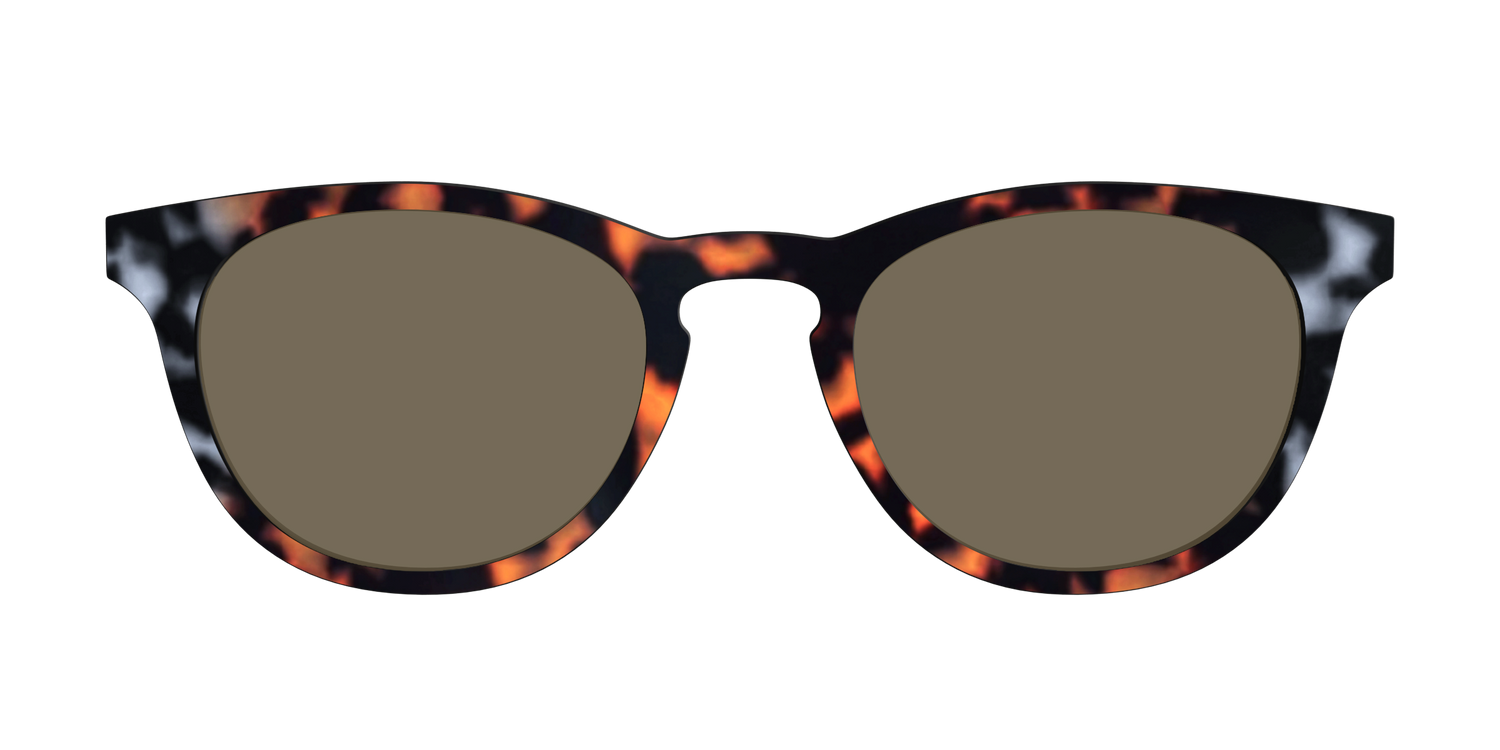 The Polarized Gray & Amber Tortoise Sun Top - Front Top Image - Pair Eyewear