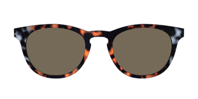 The Polarized Gray & Amber Tortoise Sun Top - Front Top Thumbnail - Pair Eyewear