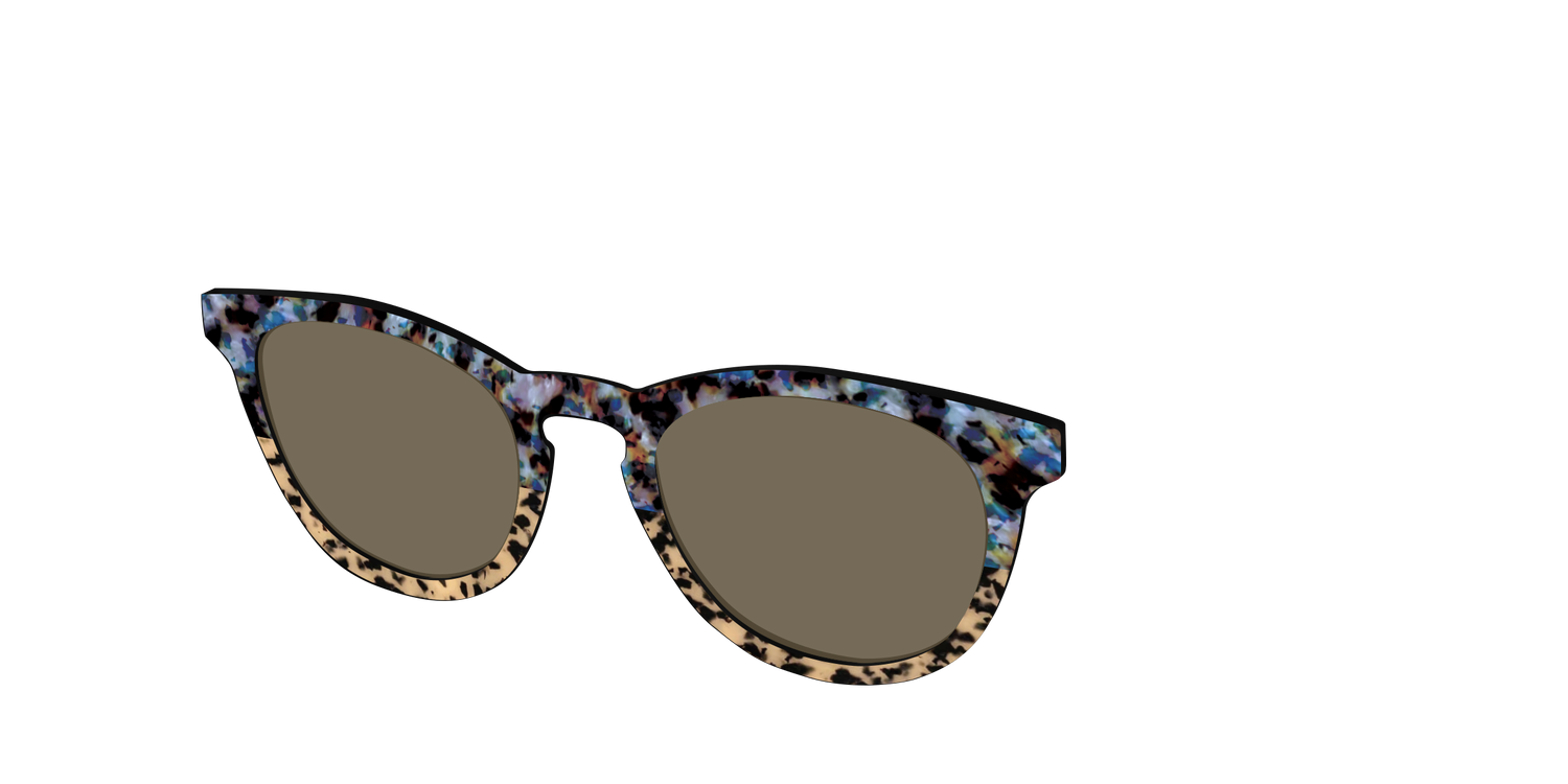 The Polarized Oasis Tortoise Split Sun Top - Angle Top Image - Pair Eyewear