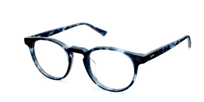 blue tortoise
