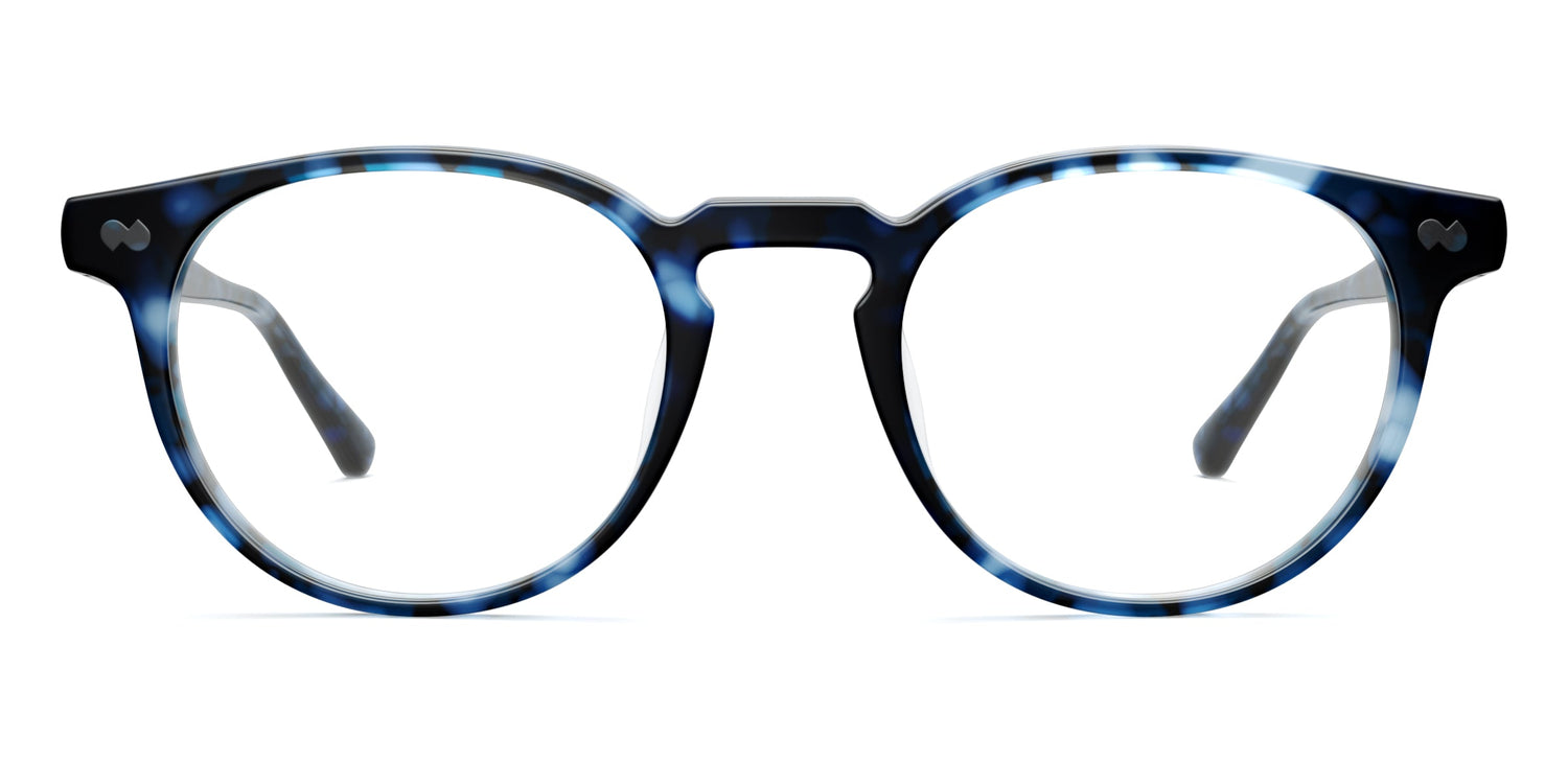 blue tortoise