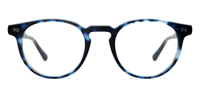 blue tortoise