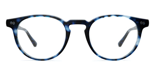 blue tortoise