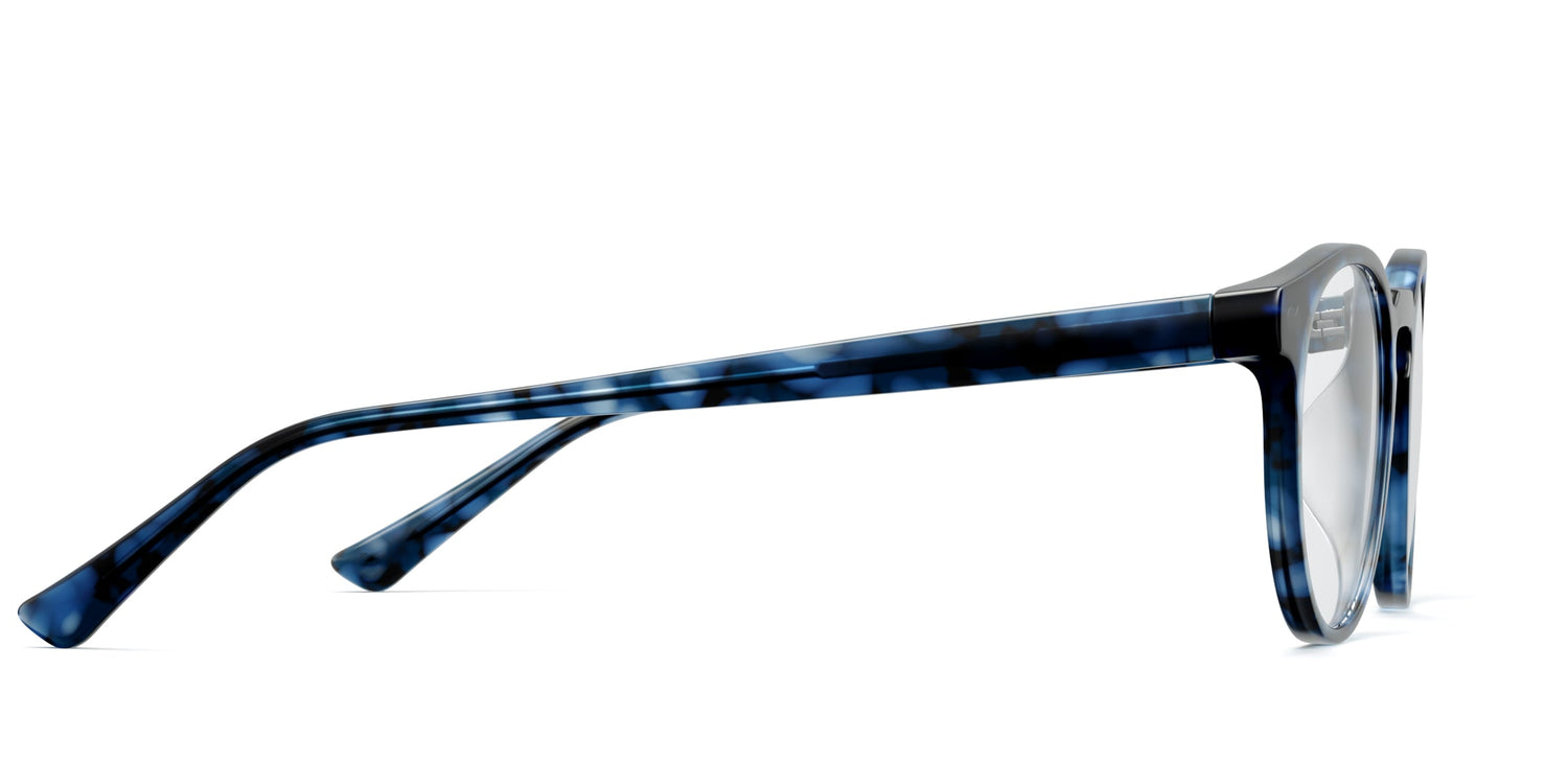 blue tortoise