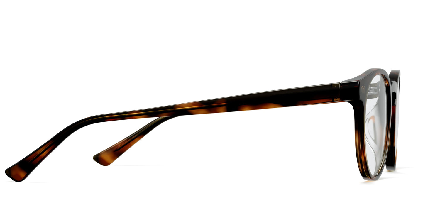 The Soto - Tortoise
