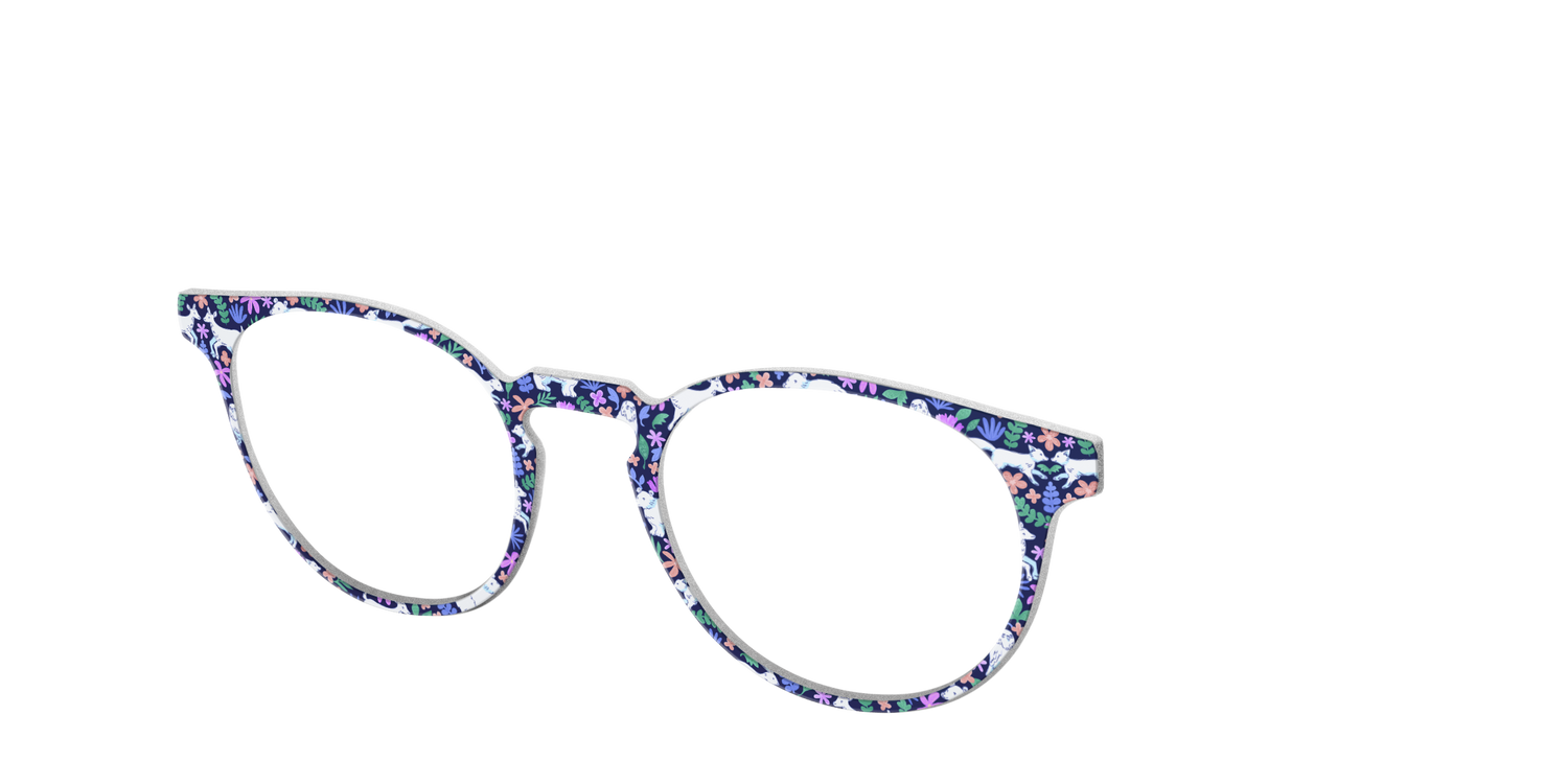 The Arctic Friends - Angle Top Image - Pair Eyewear