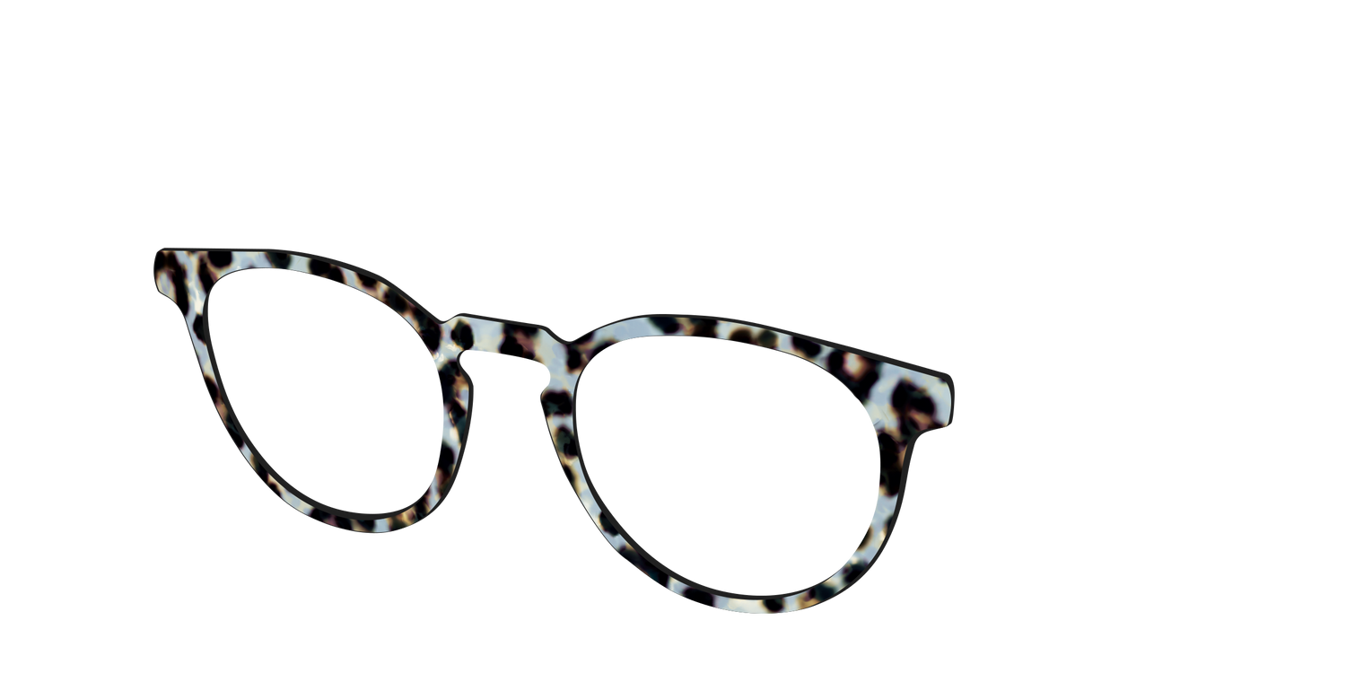 The Earl Grey Tortoise - Angle Top Image - Pair Eyewear