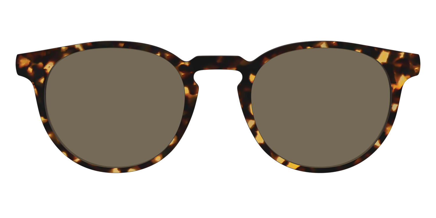 The Non-Polarized Tortoise Sun Top - Front Top Image - Pair Eyewear