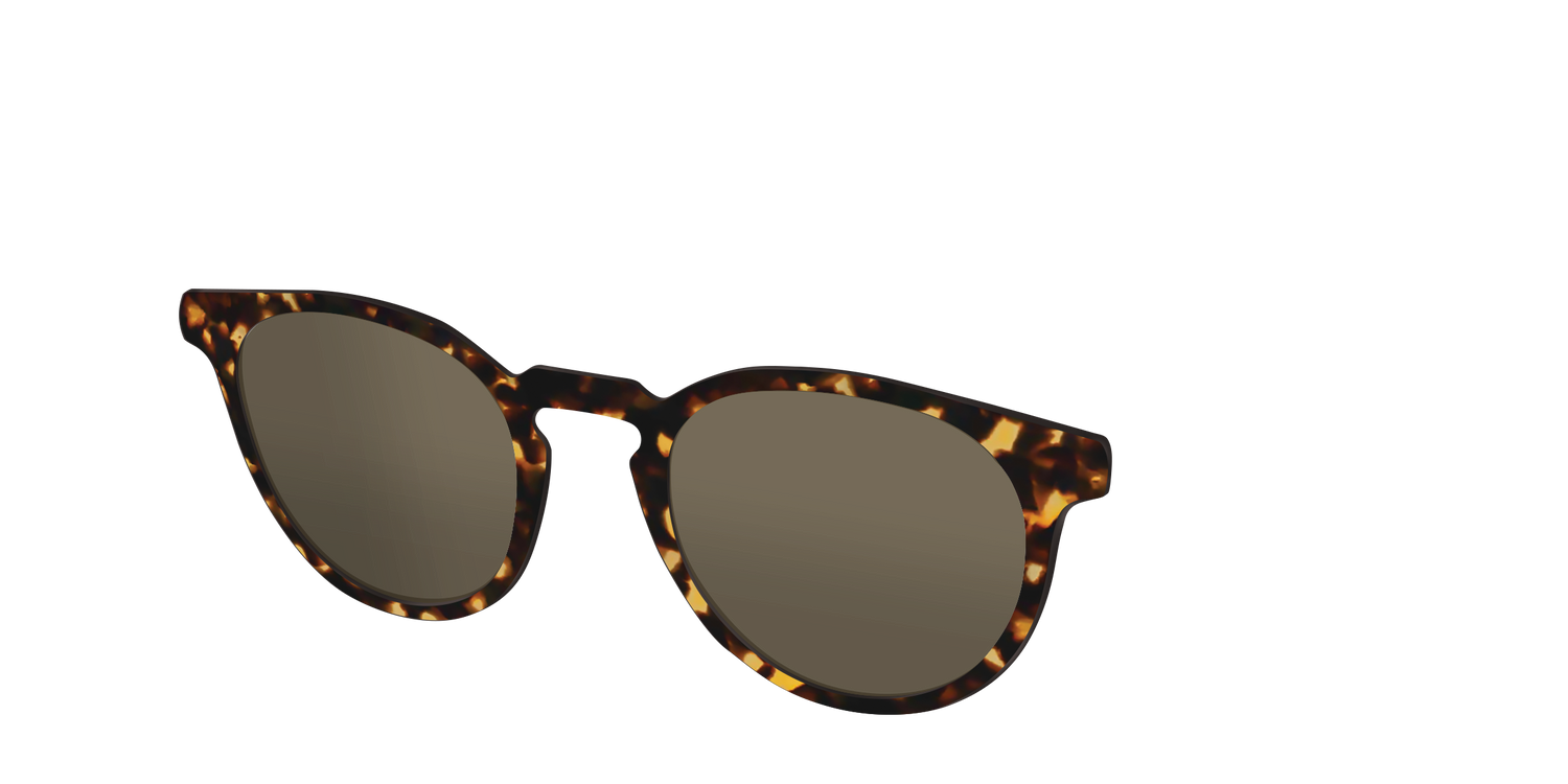 The Non-Polarized Tortoise Sun Top - Angle Top Image - Pair Eyewear