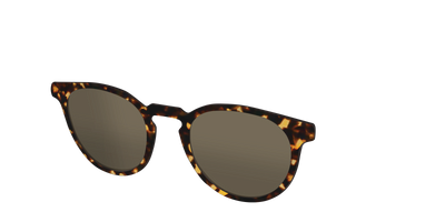 The Non-Polarized Tortoise Sun Top - Angle Top Thumbnail - Pair Eyewear
