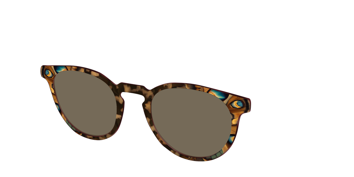 The Polarized Moth Wings Sun Top - Angle Top Image - Pair Eyewear
