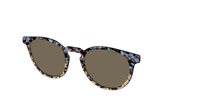 The Polarized Oasis Tortoise Split Sun Top - Angle Top Thumbnail - Pair Eyewear