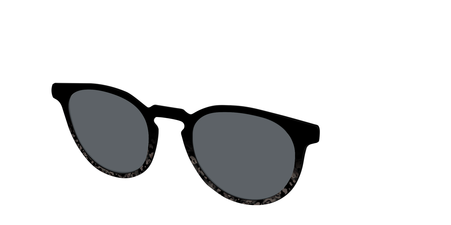 The Polarized Shaded Tortoise Sun Top - Angle Top Image - Pair Eyewear