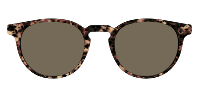 The Polarized Sienna Tortoise Sun Top - Front Top Thumbnail - Pair Eyewear