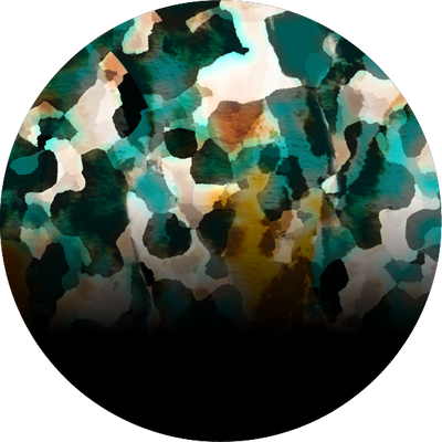 The Oxidized Copper Tortoise