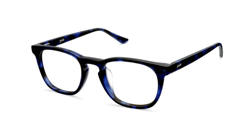 blue tortoise
