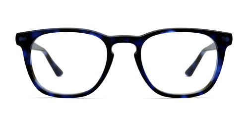 blue tortoise