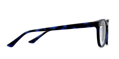 blue tortoise
