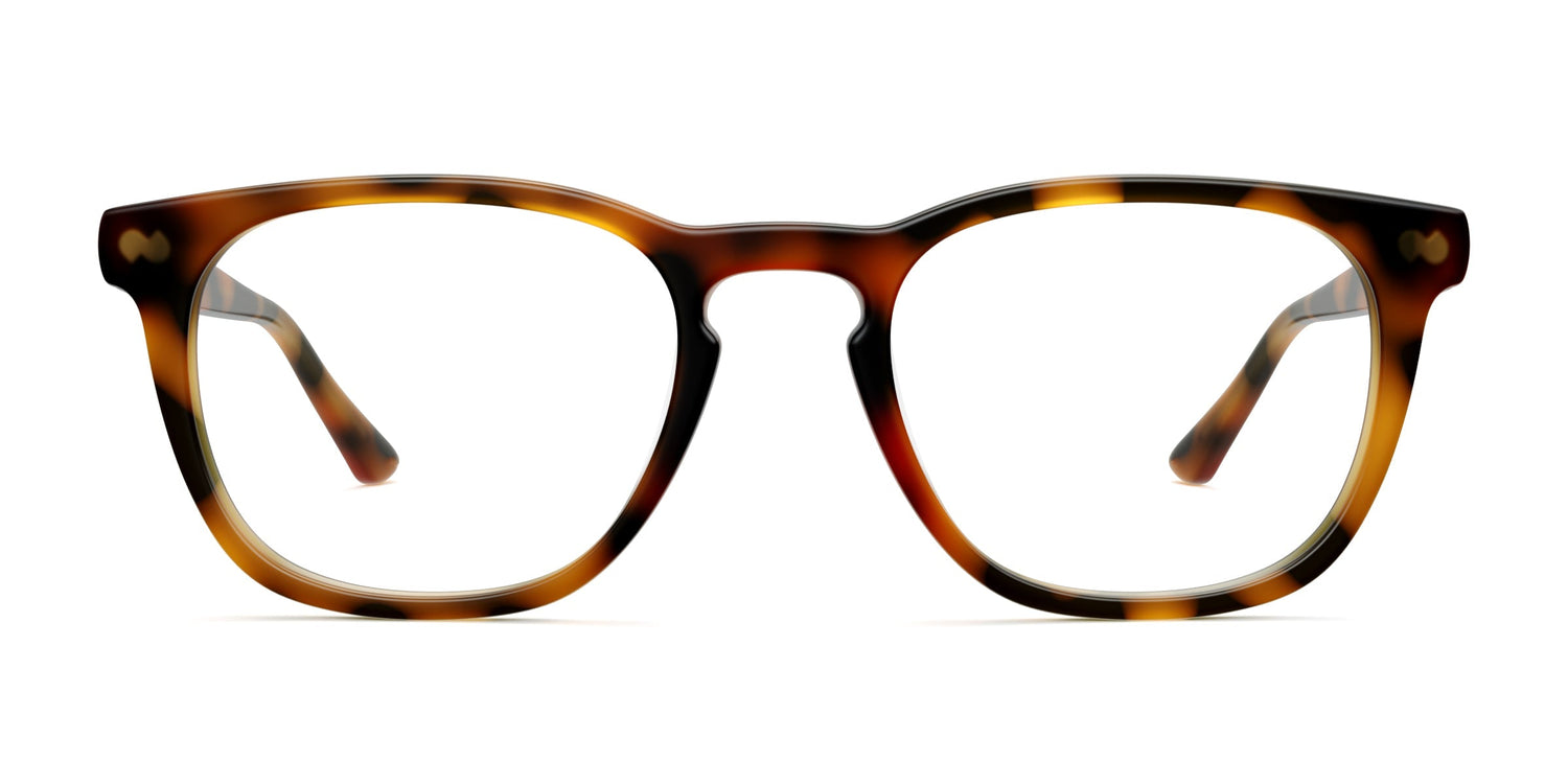The Twain - Rx and Reader - Carousel 1 - Pair Eyewear