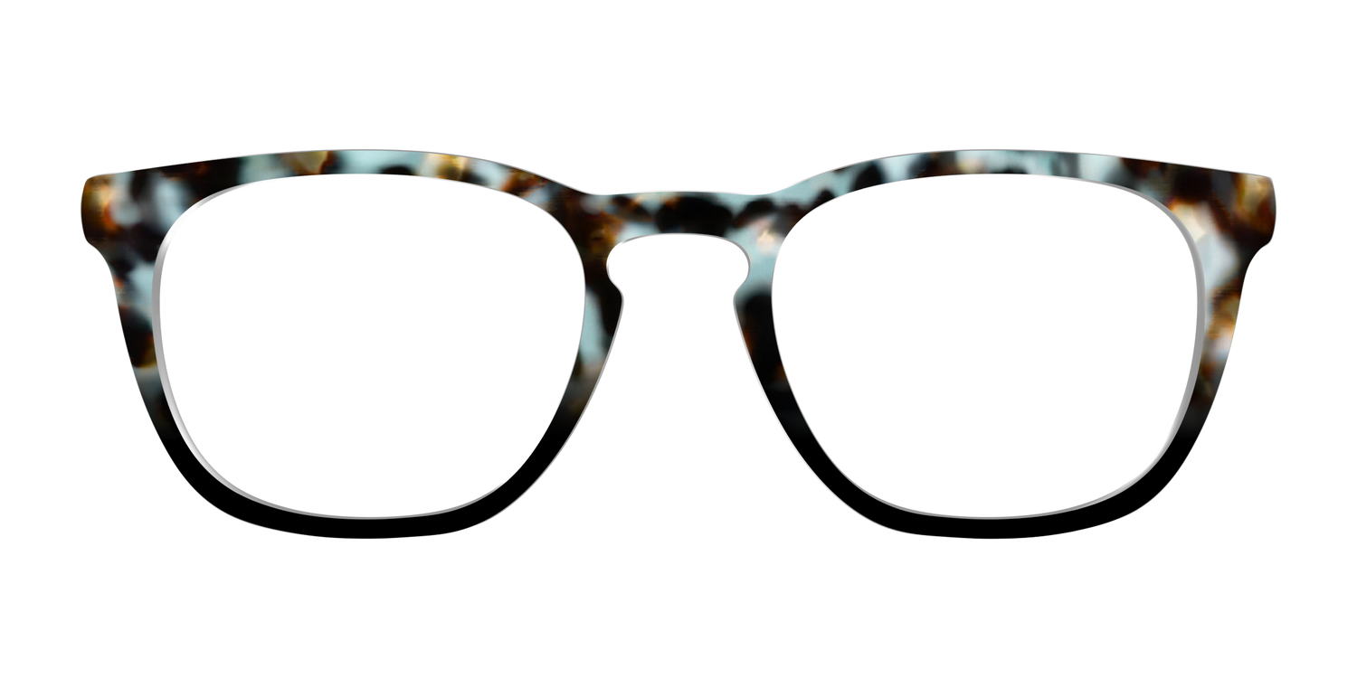 The Academic Tortoise - Front Top Image - Pair Eyewear