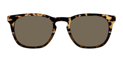 The Polarized Chic Tortoise Split Sun Top - Front Top Thumbnail - Pair Eyewear