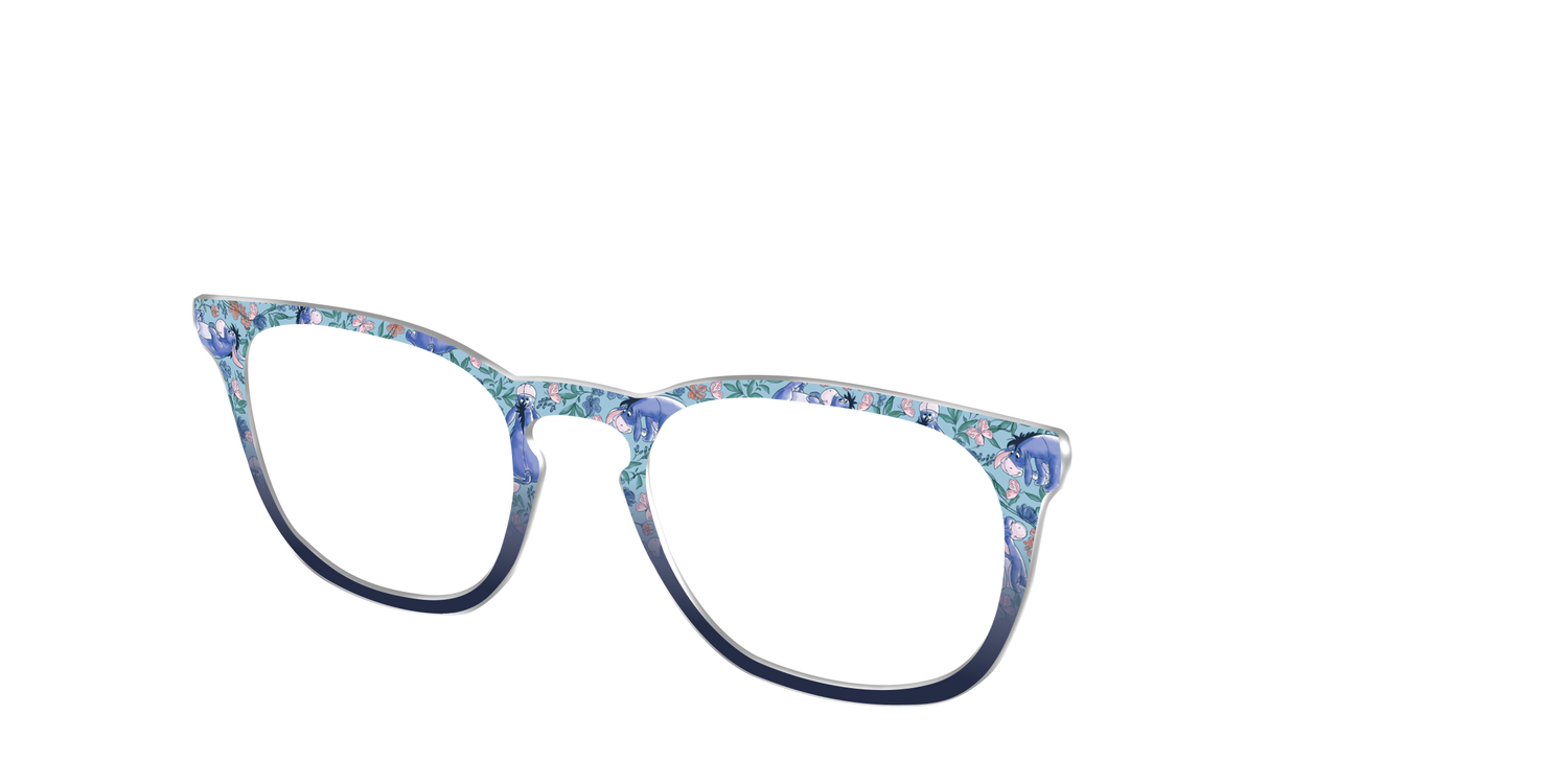 Eeyore's Blooming Meadow - Angle Top Image - Pair Eyewear