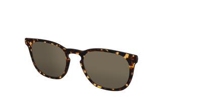 The Non-Polarized Tortoise Sun Top - Angle Top Thumbnail - Pair Eyewear