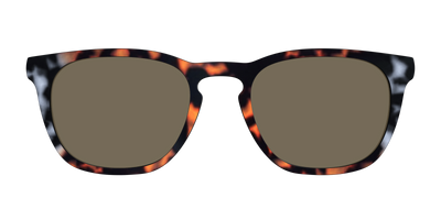 The Polarized Gray & Amber Tortoise Sun Top - Front Top Thumbnail - Pair Eyewear