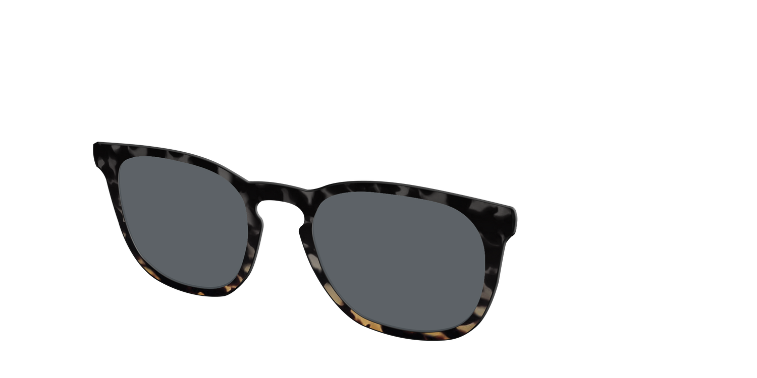 The Polarized Shadow Tortoise Sun Top - Angle Top Image - Pair Eyewear