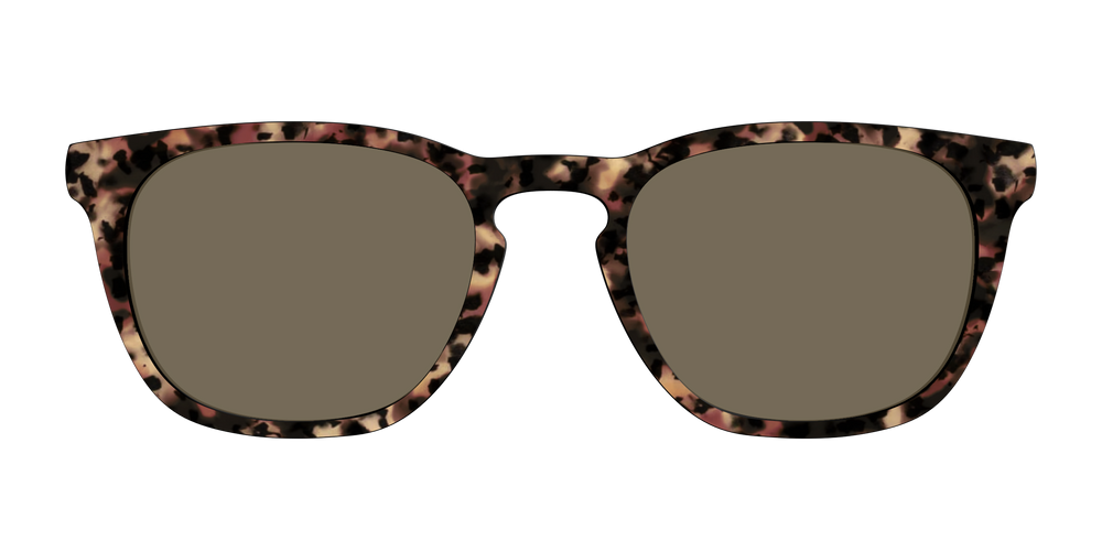 The Tortoise