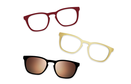 Tortoise - Set - Pair Eyewear