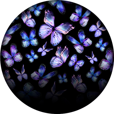 The Frosted Feathers