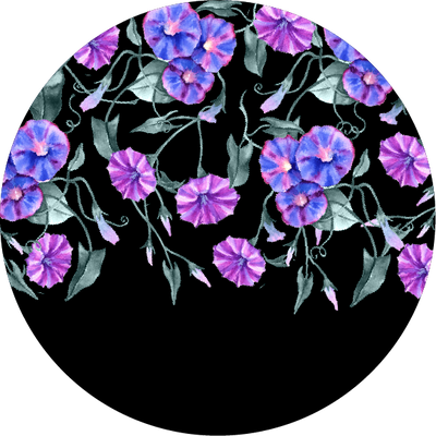 The Frosted Feathers